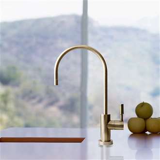 Banes Ceramic Disc kitchen Sink Designer Faucet