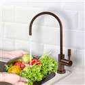 Banes Ceramic Disc Kitchen Sink Designer Faucet