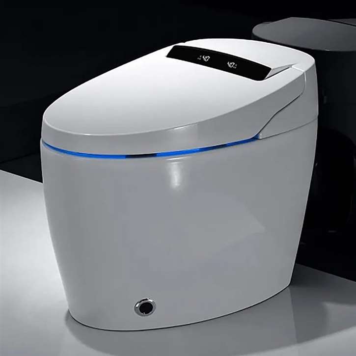 Fontana Spoleto Commercial Smart Toilet