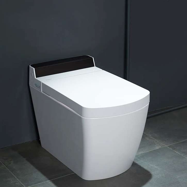 Fontana Monza Commercial Smart Toilet