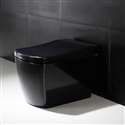 Fontana Grosseto Black Finish Voice Controlled Intelligent Toilet