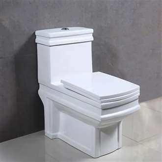 Fontana Teramo Commercial Smart Toilet