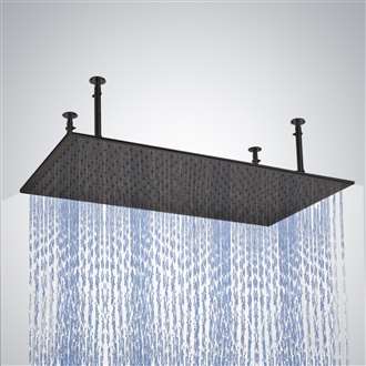 Val-de-Marne 20" x 40" Matte Black Ceiling Mount LED Rain Shower Head