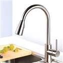 Venice Brushed Nickel Single Handle Kitchen Sink Faucet with Pull Down Spout