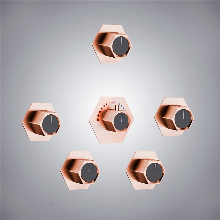 Fontana Igny Rose Gold Elegance Shower Mixer