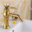 Salta Gold Finish Single Handle Bathroom Sink Faucet