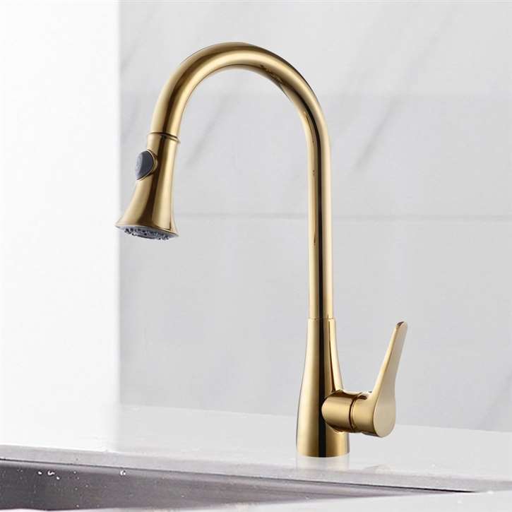 Mora Deck Mount Kitchen Gold Finish Sink Faucet with Pull Down Sprayer