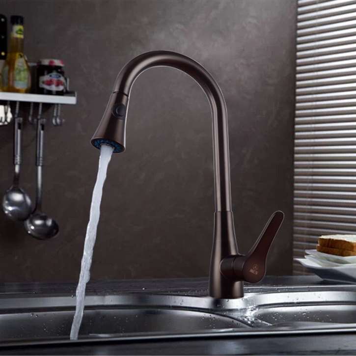 Sintra Kitchen Sink Faucet with Pullout Sprayer