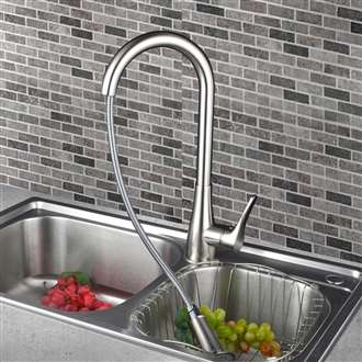 Agueda Kitchen Sink Faucet with Pullout Sprayer