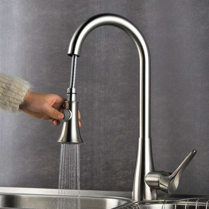 Faro Kitchen Sink Faucet with Pullout Sprayer