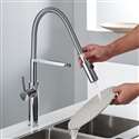 Fontana Sierra Polished Chrome Handheld Sprayer Kitchen Sink Faucet