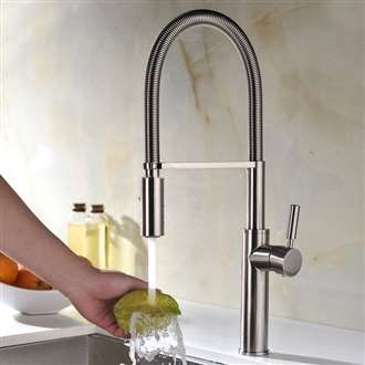 Fontana Sierra Brushed Nickel Handheld Sprayer Kitchen Sink Faucet