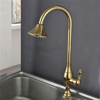 Fontana Milan 100% Solid Brass Gold Finish Kitchen Sink Faucet