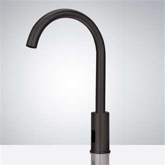 Fontana Wella Goose Neck Matte Black Faucet